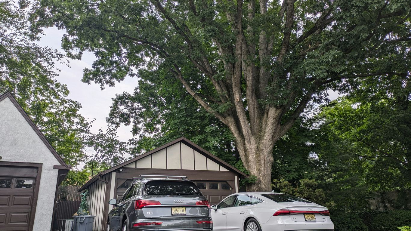 Tree crew measuring crane access driveway