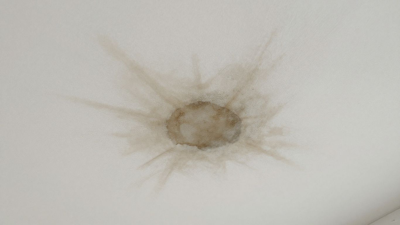 Water stain on a white ceiling