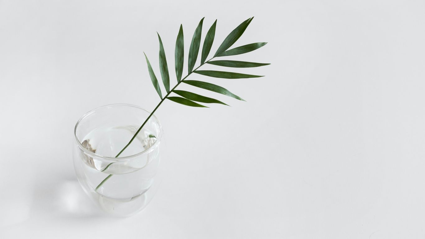 a green leaf sticking out of a glass of water