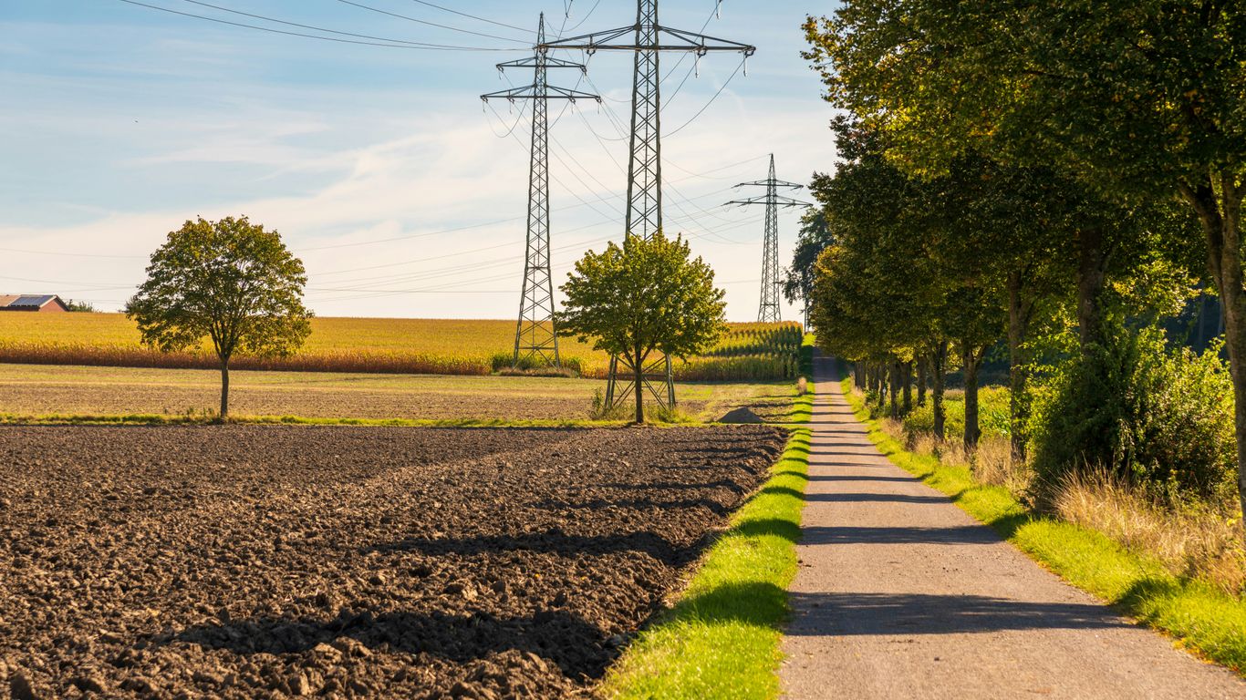 A rural path lined with trees and power lines.