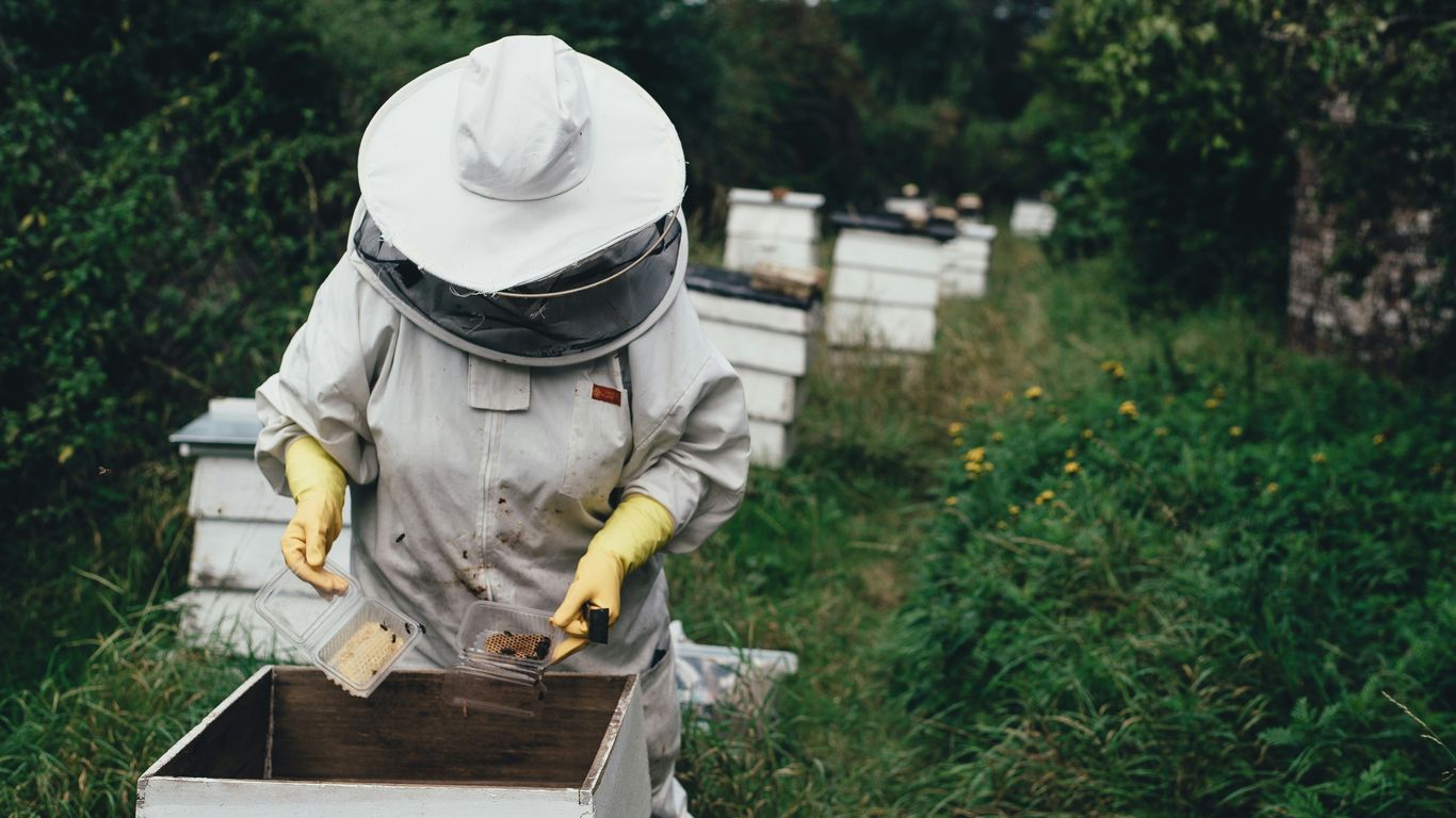bee person planting