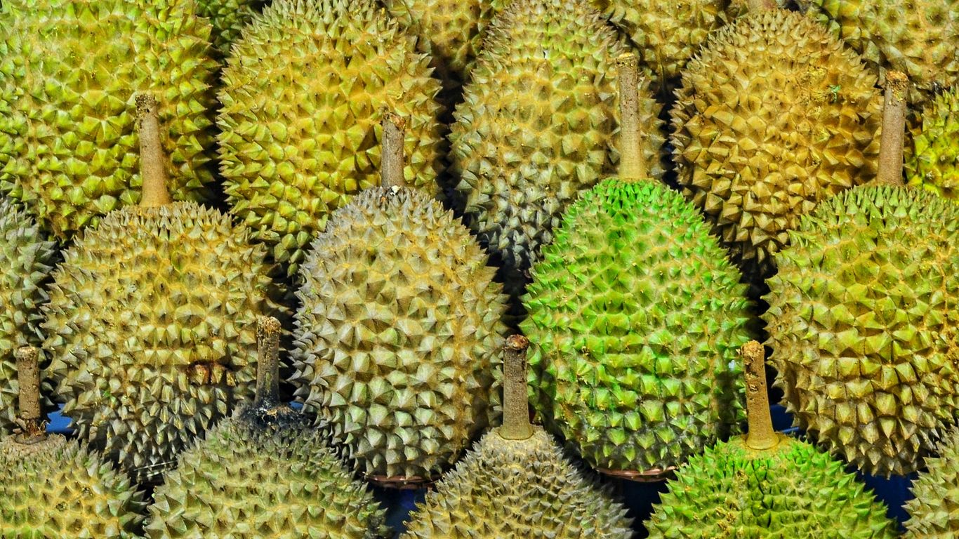 durian fruits
