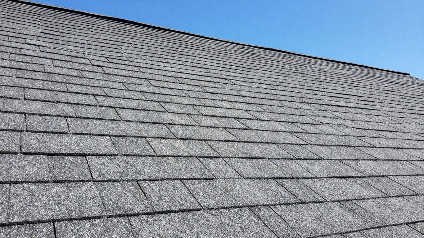 Dacula Georgia roof repair close-up