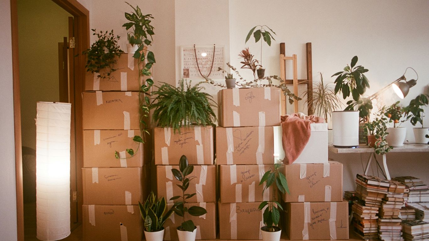 Transporting light and durable items makes setup simple
