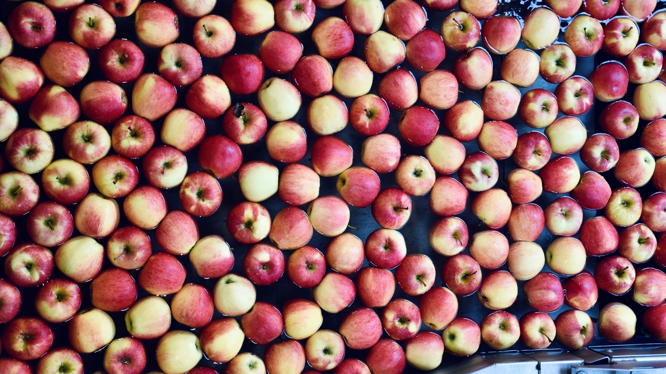 a large amount of red and yellow apples