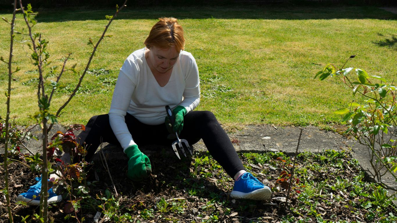 a man planting a tree