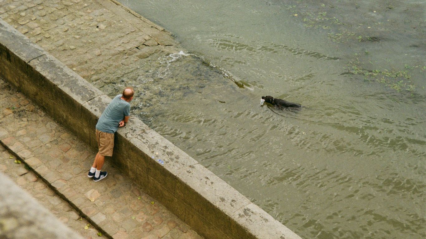 Man watching a seal swim in the water