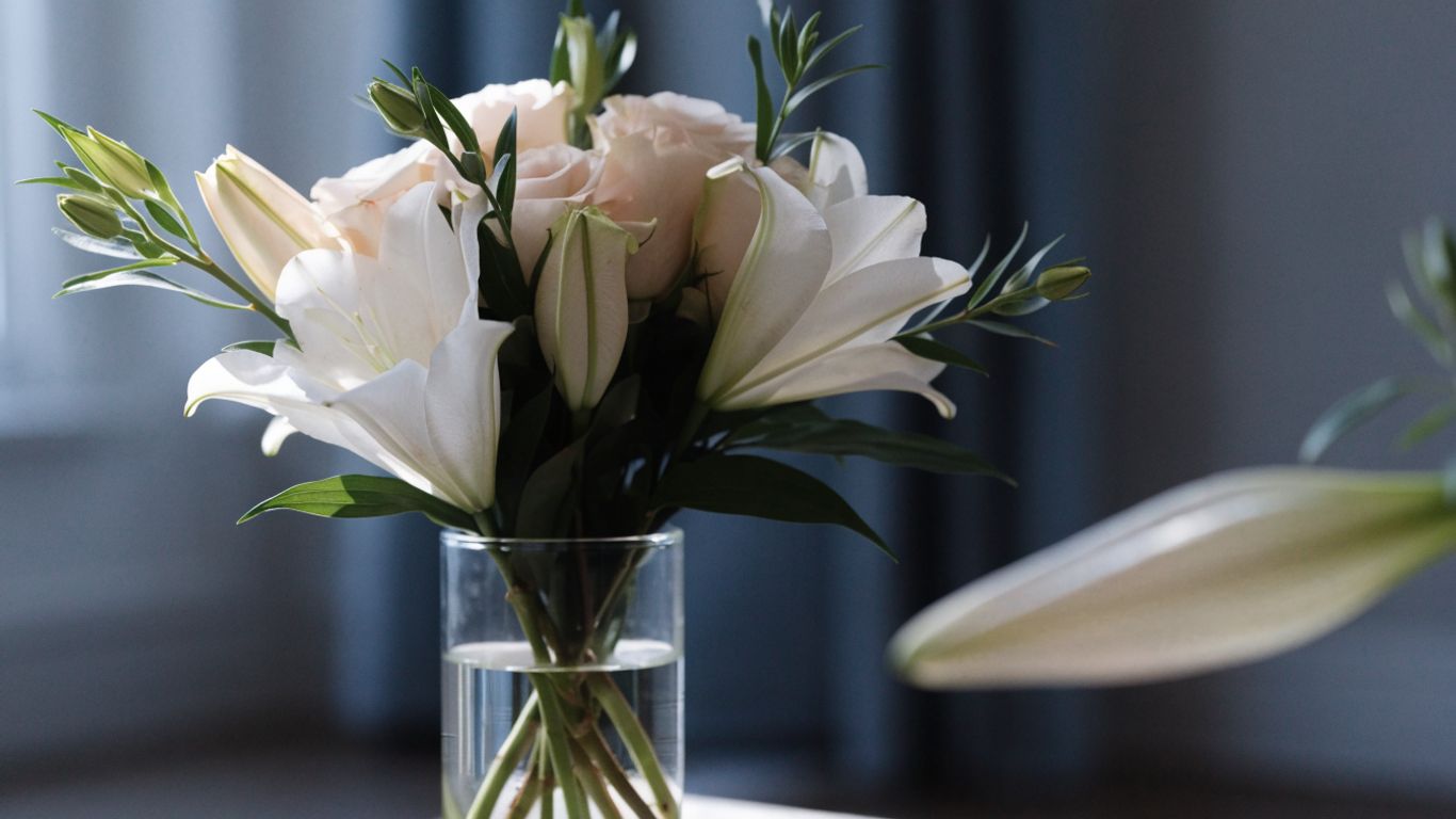 Soft white flowers arranged in a simple sympathy bouquet