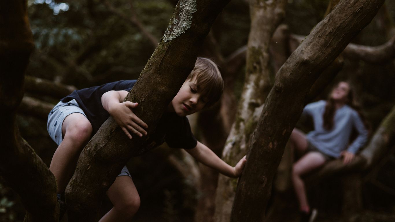 Children exploring leaves and natural materials