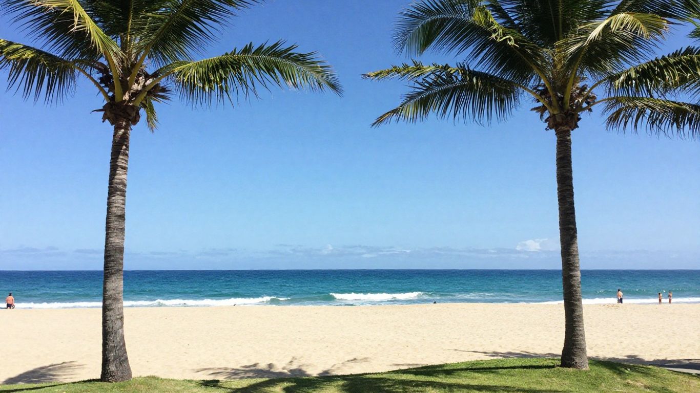 Gold Coast beach with palm trees and ocean.