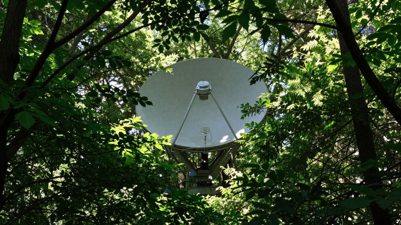 Tree branches blocking a Starlink satellite dish.