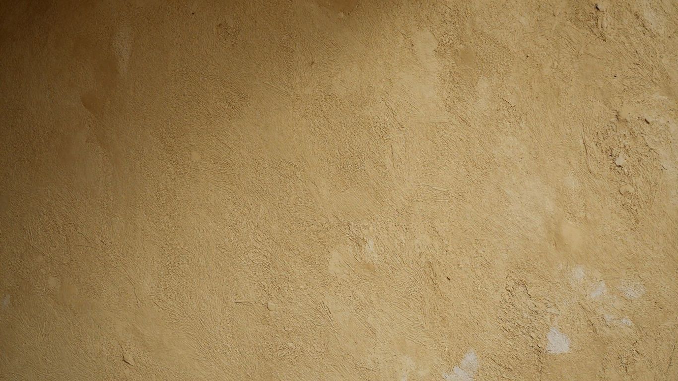 Textured lime plaster wall in an old house.