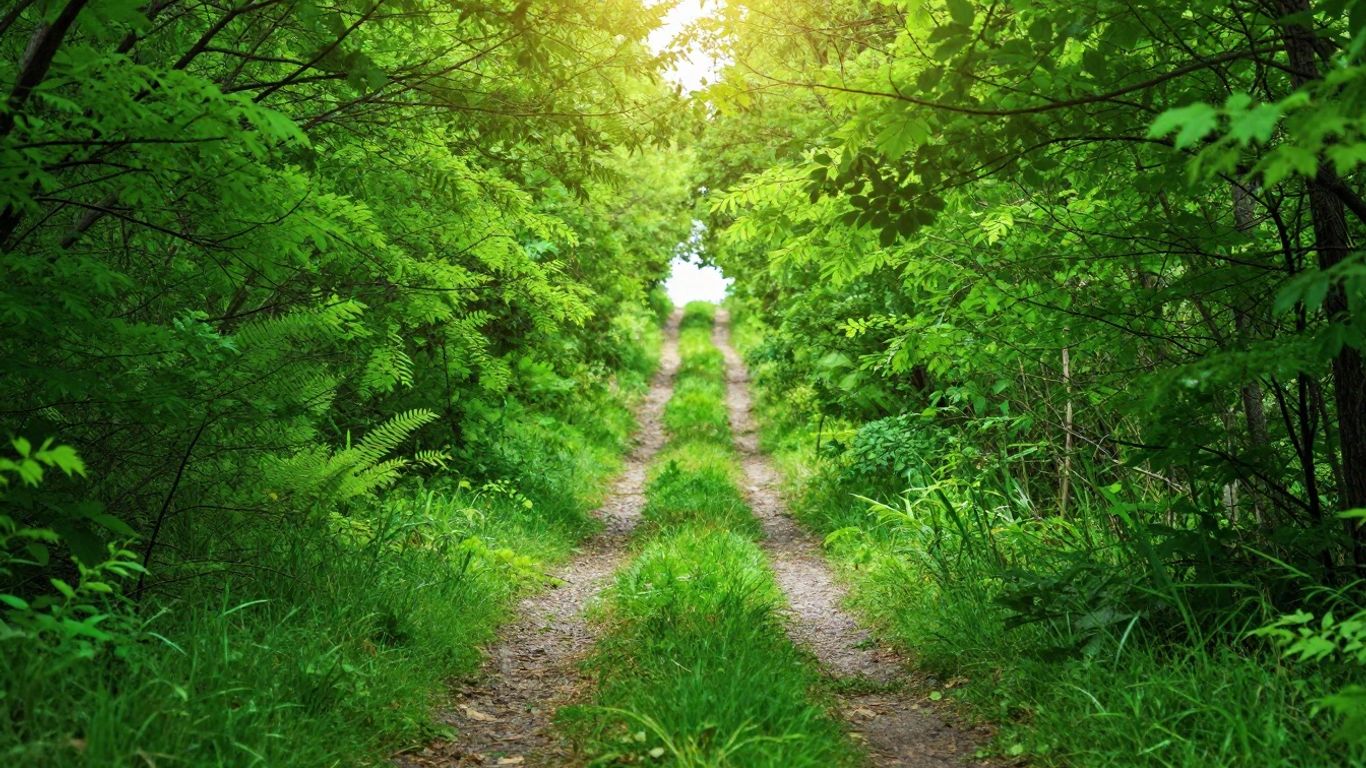 Green path leading to a bright horizon