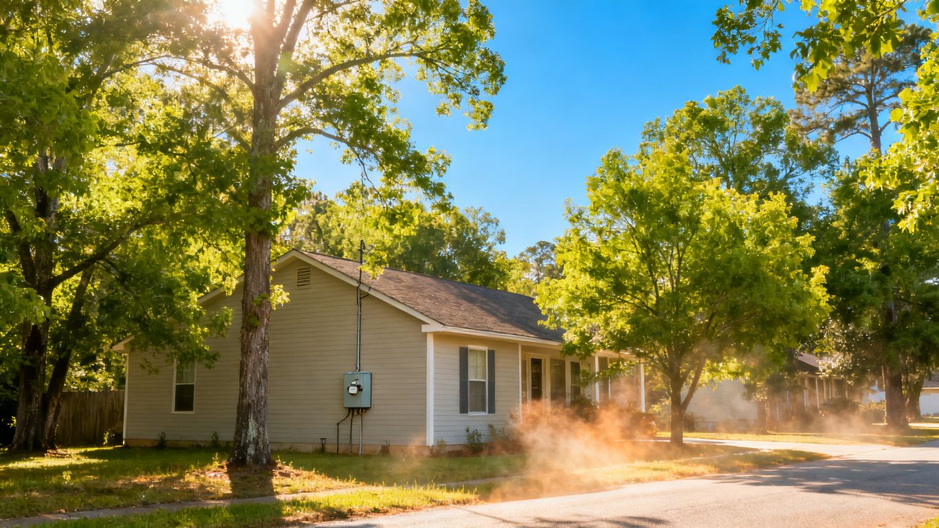 House with electrical meter on a sunny summer day.