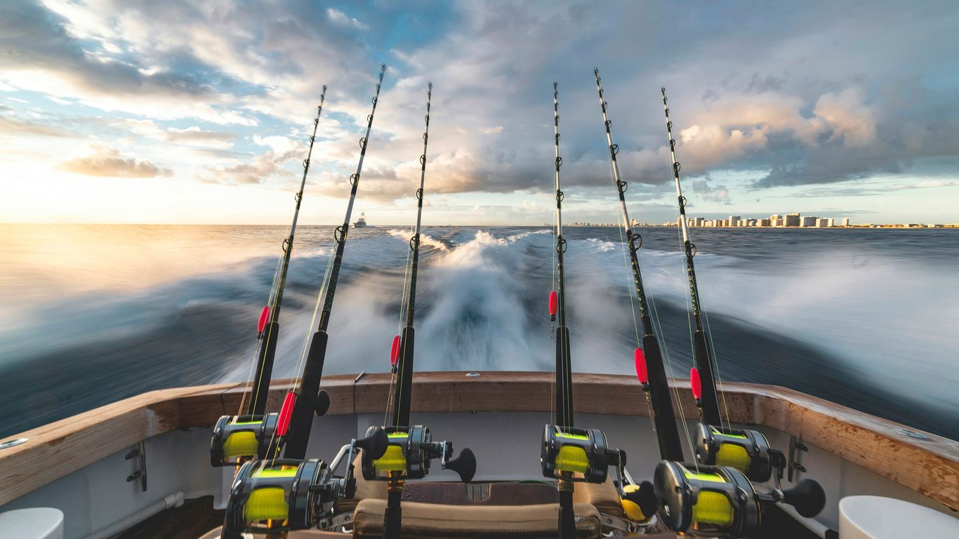 Carbon fishing rod blanks and components