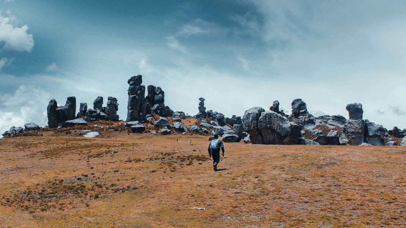 people walking on brown field under cloudy sky during daytime