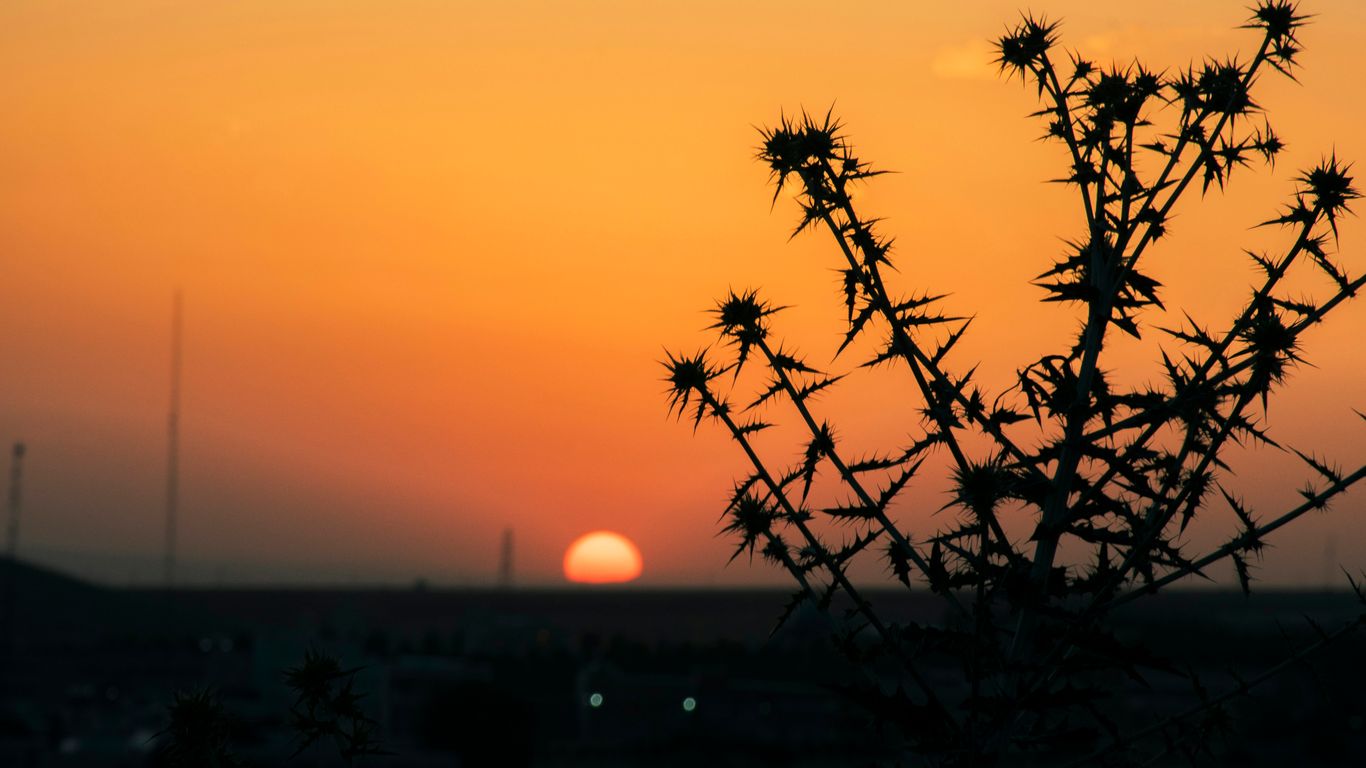The 15 Minutes Every Morning That Changed My Entire Workday