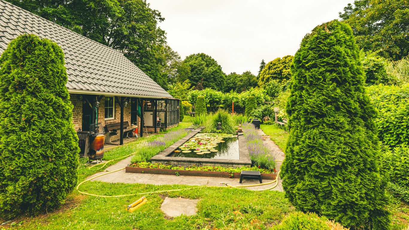 Garden with standing water near house, surrounded by lush greenery and landscaping, featuring a pond with lily pads, indicating potential drainage issues.