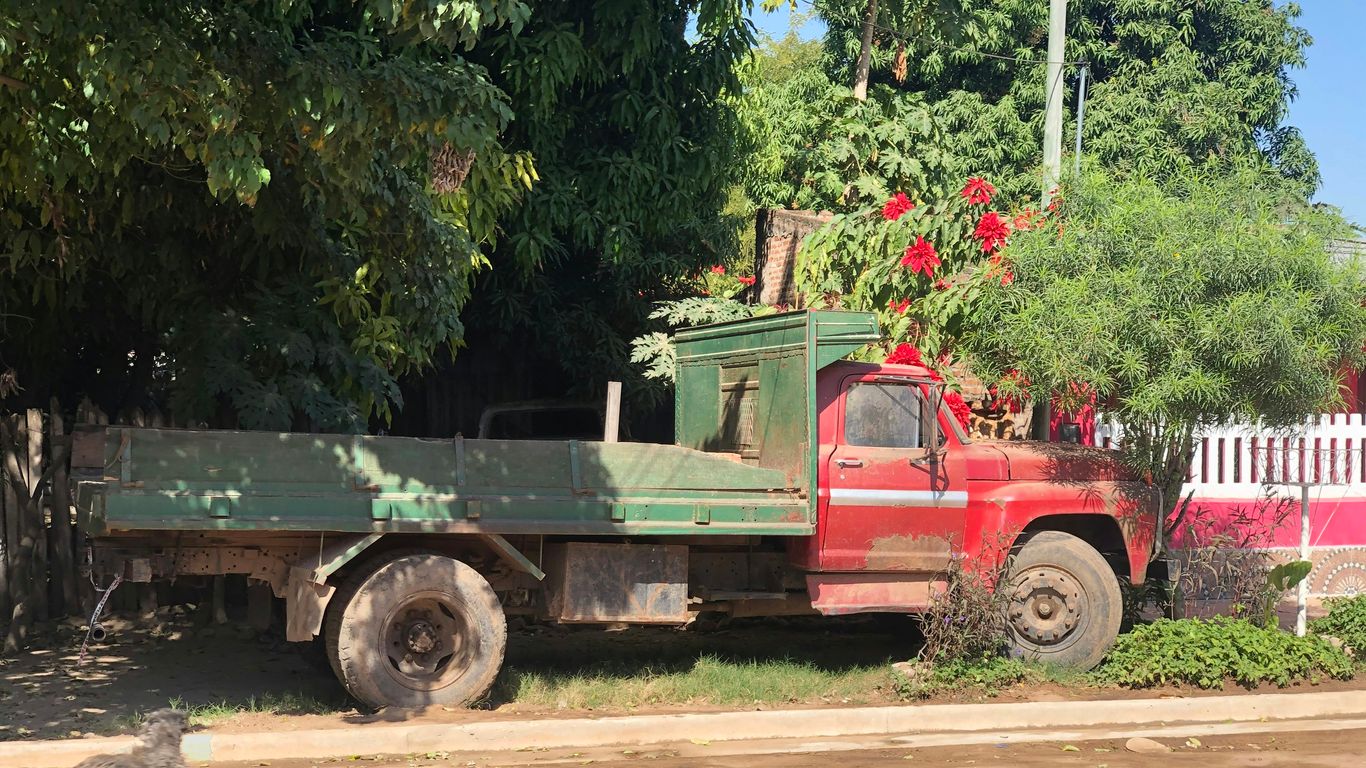 Tree service truck parked beside a home