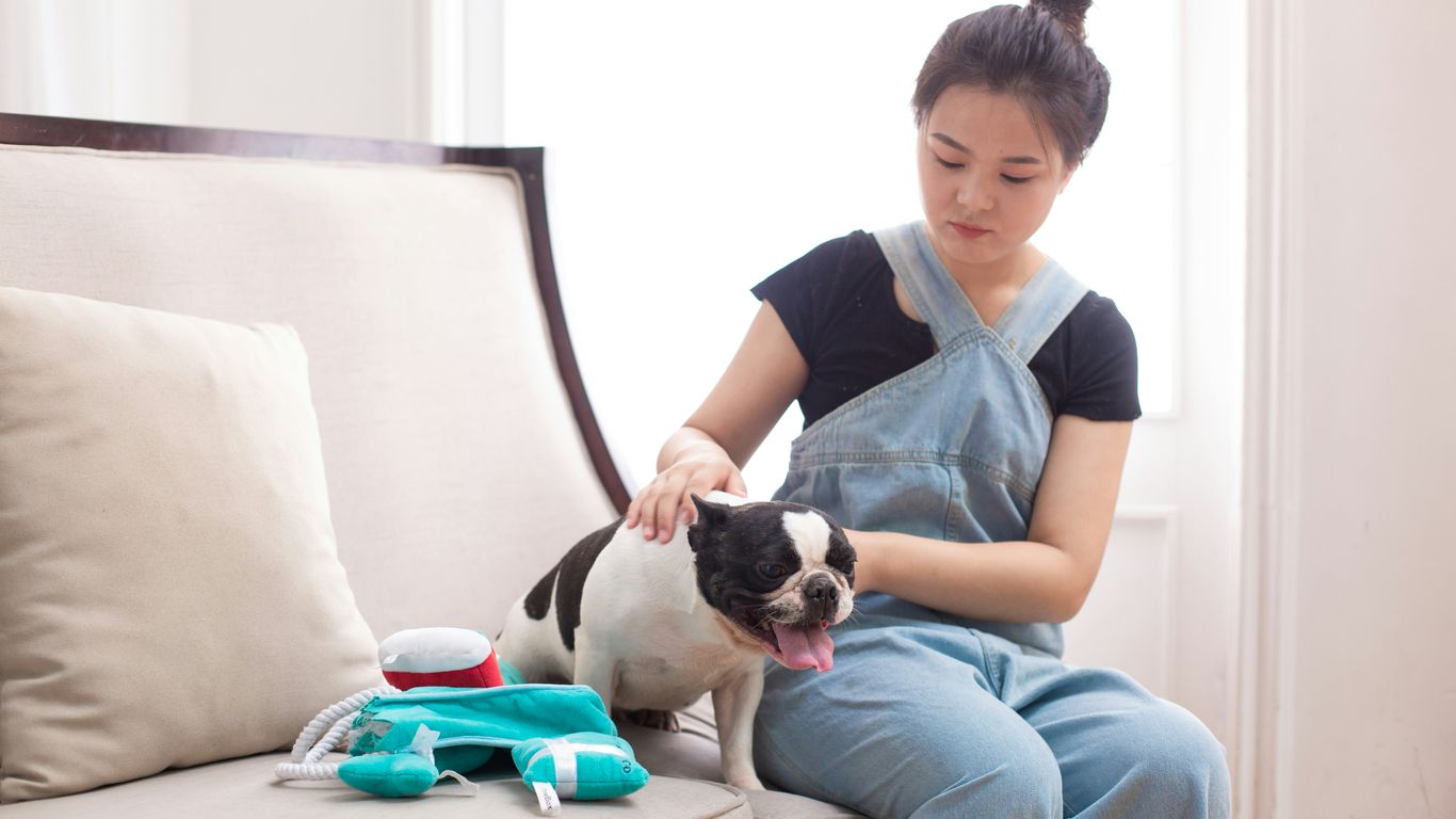A woman pets her dog on a couch.