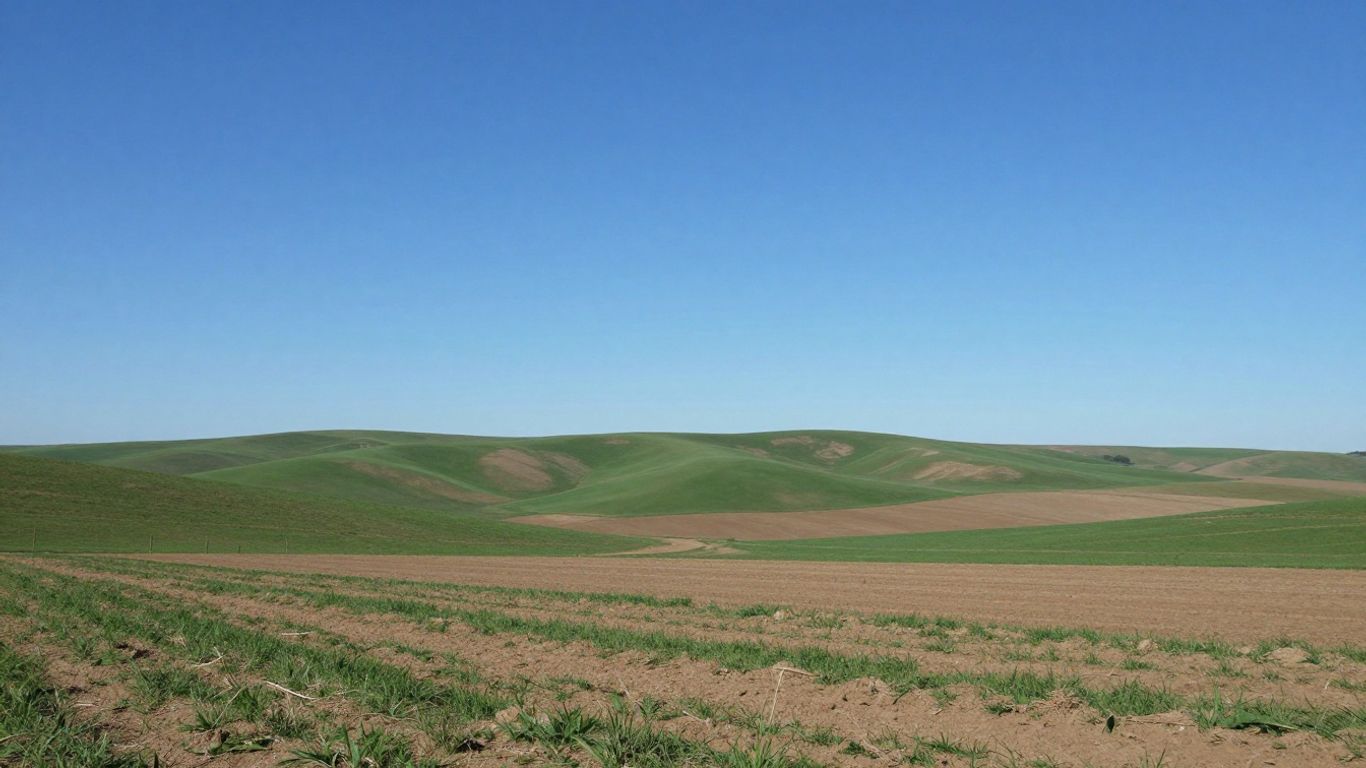 Vast undeveloped land parcel under a clear blue sky.