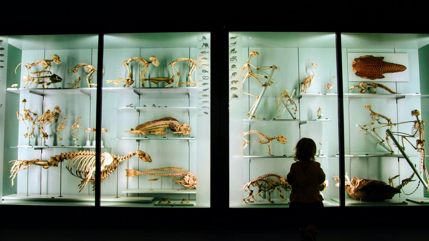 Interactive science exhibits at the local museum