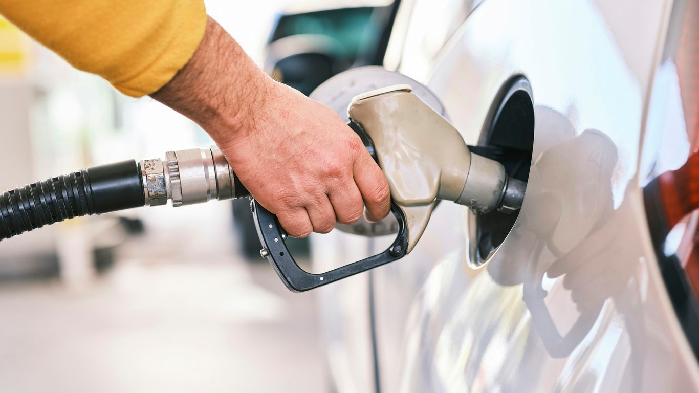 Vehicle and fuel import records