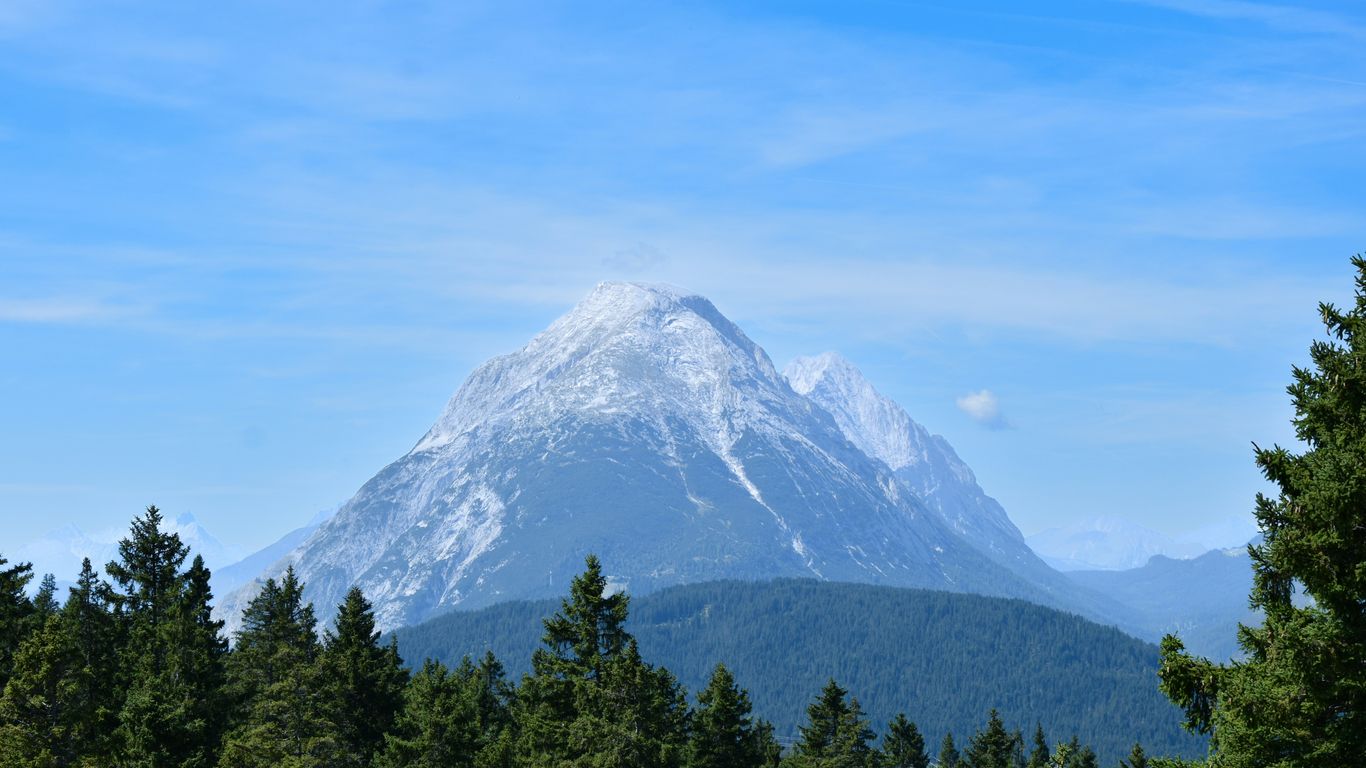 Snow-capped mountain peak behind evergreen forest under blue sky.