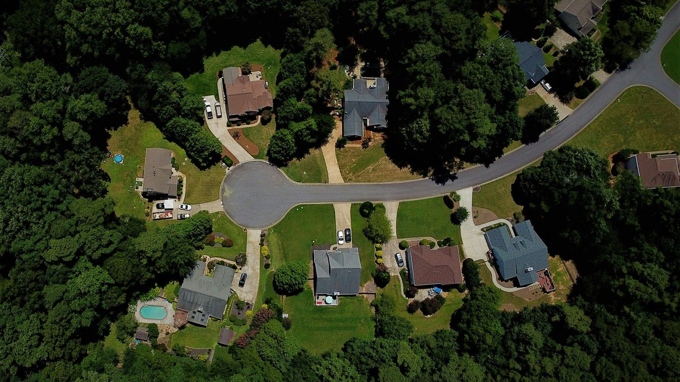 Homeowner reviewing a tree and property map