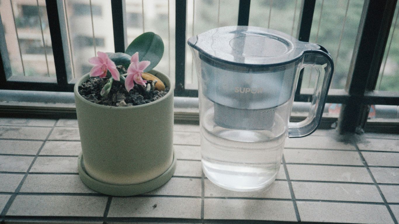 Pink flowering plant and water pitcher on a tiled windowsill.