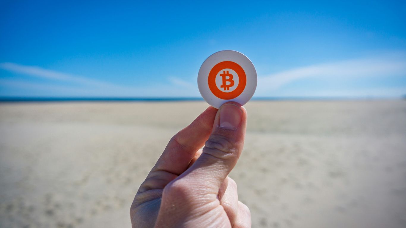 person holding white round ornament