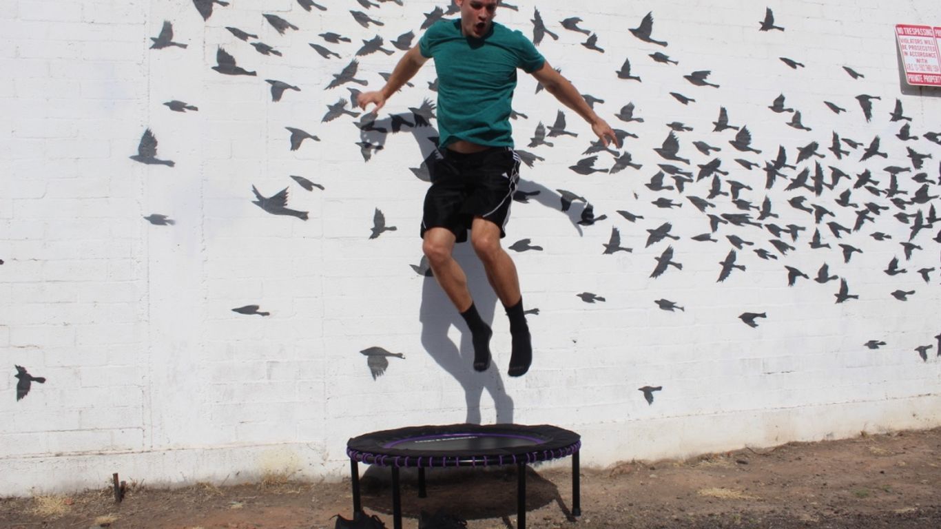 Person jumping on trampoline in front of bird mural wall.