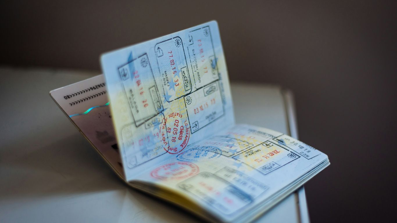 TradeNet import permit review