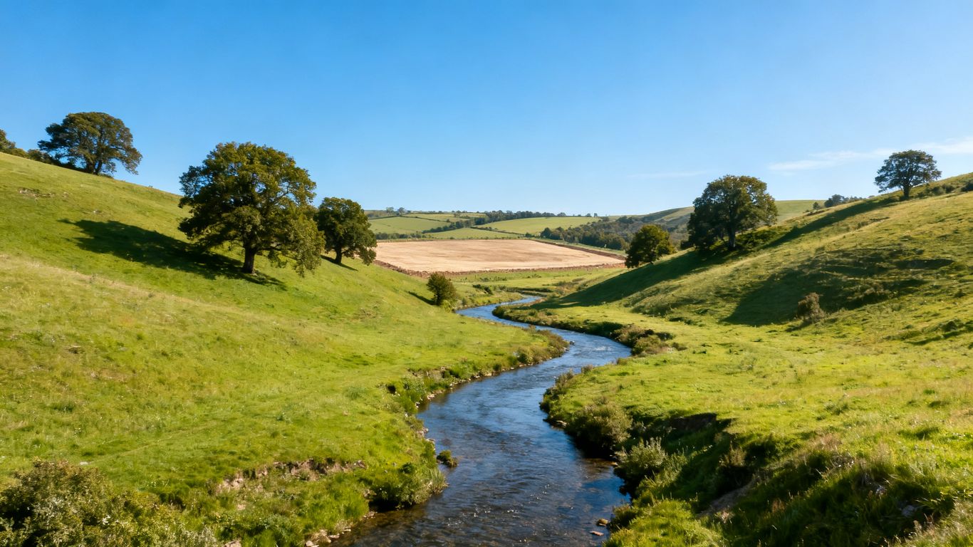 Green hills and a stream on undeveloped land.