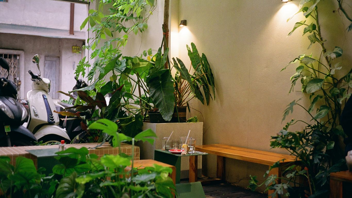 A room filled with lots of green plants