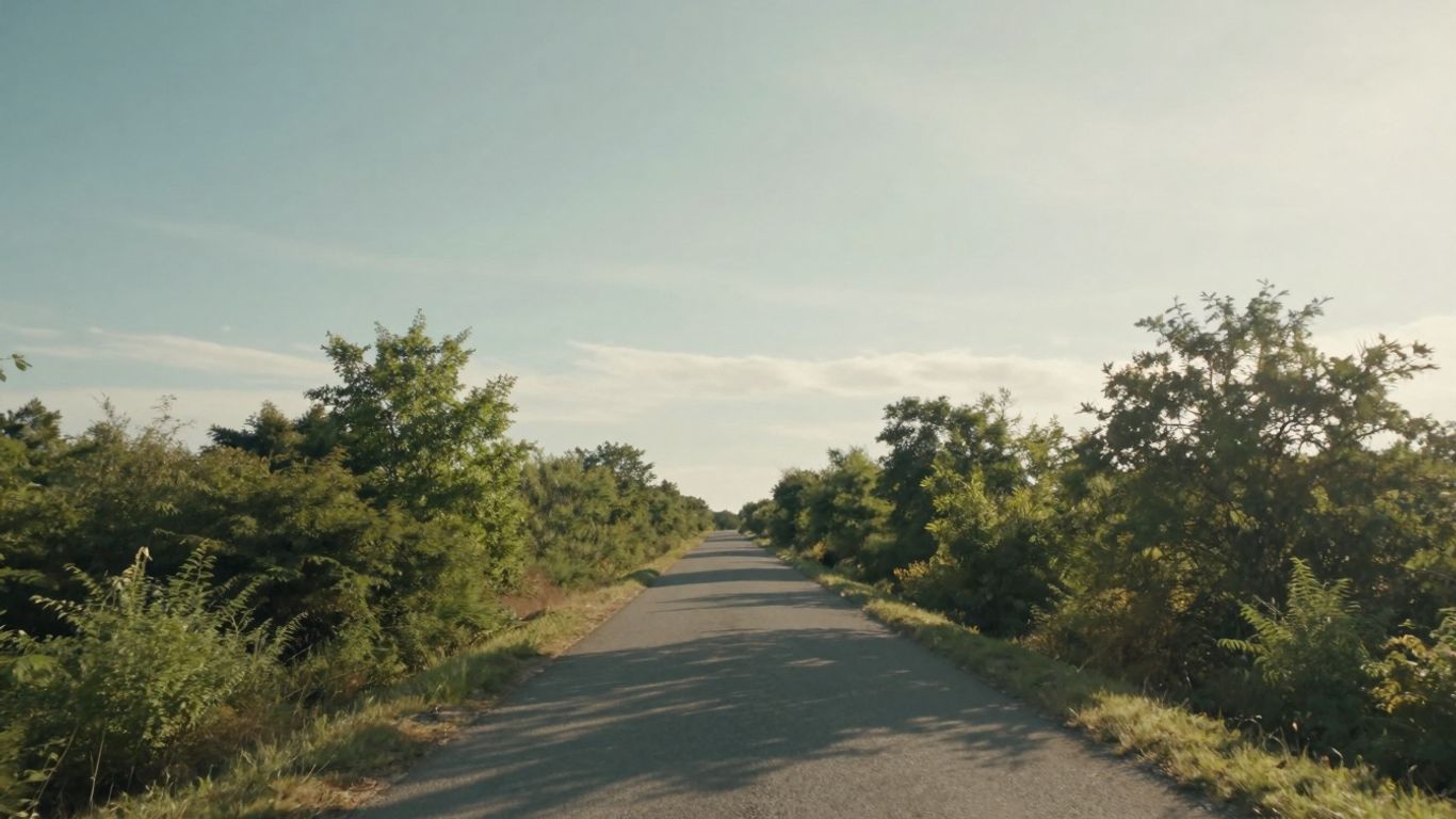 Drum lung spre un viitor prosper