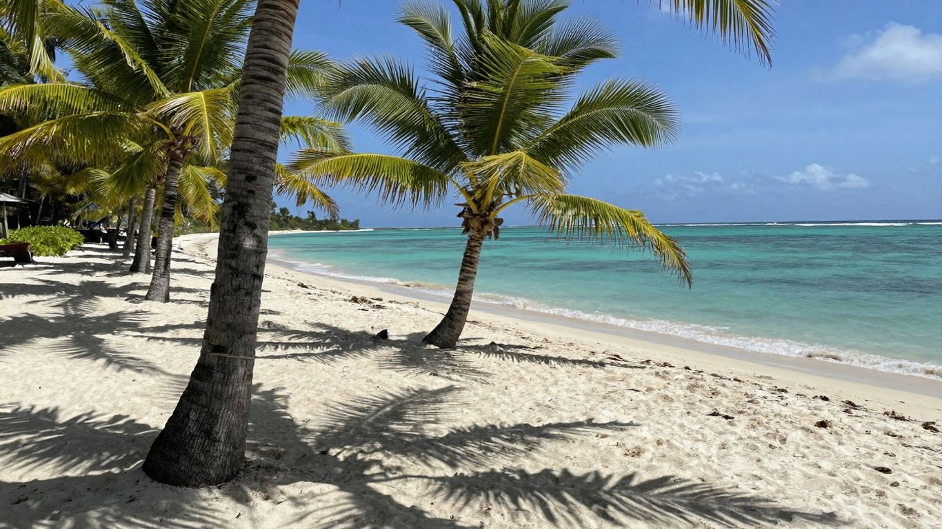 Tropical beach with white sand and turquoise water.