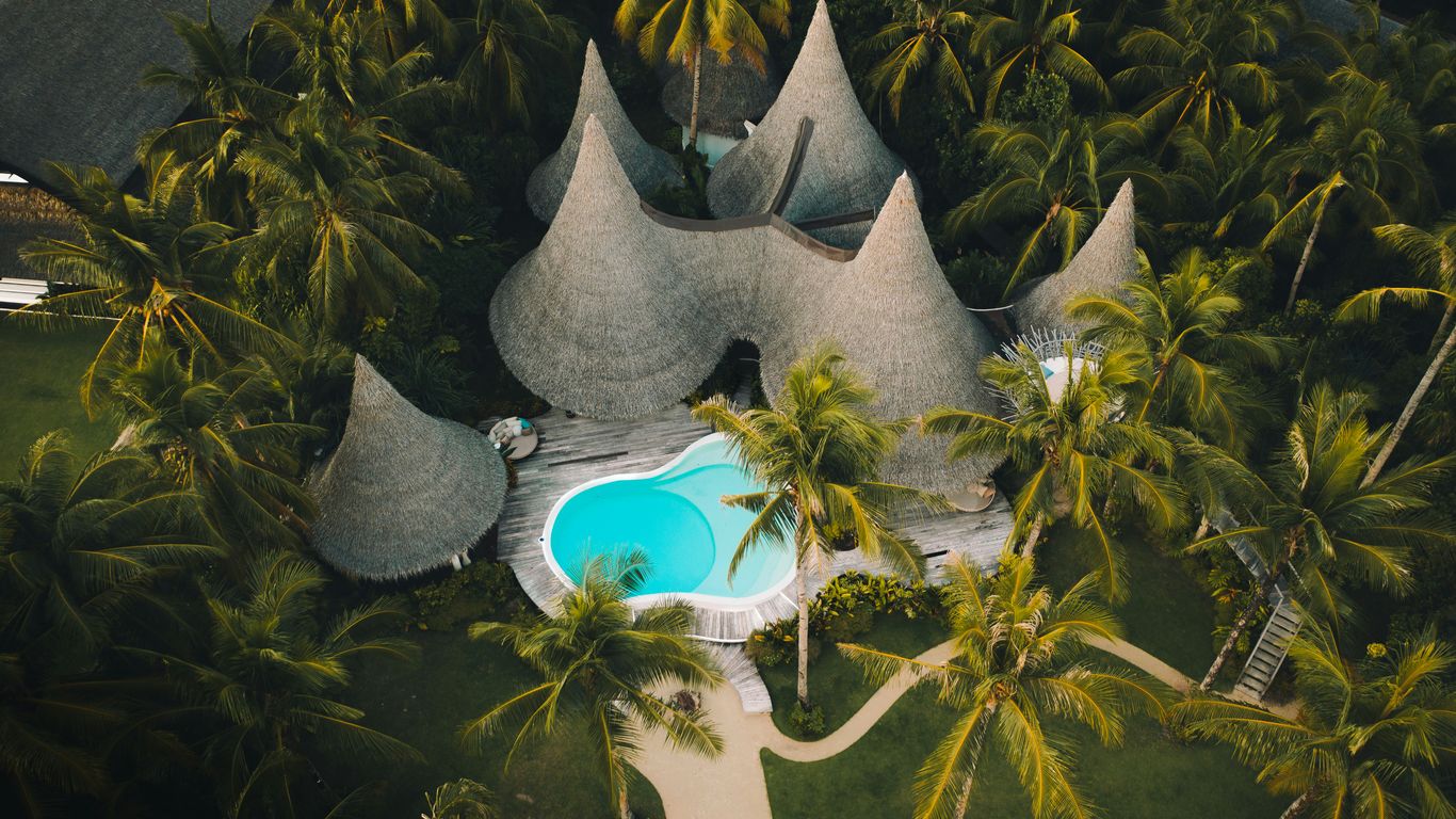 gray concrete structure with green trees