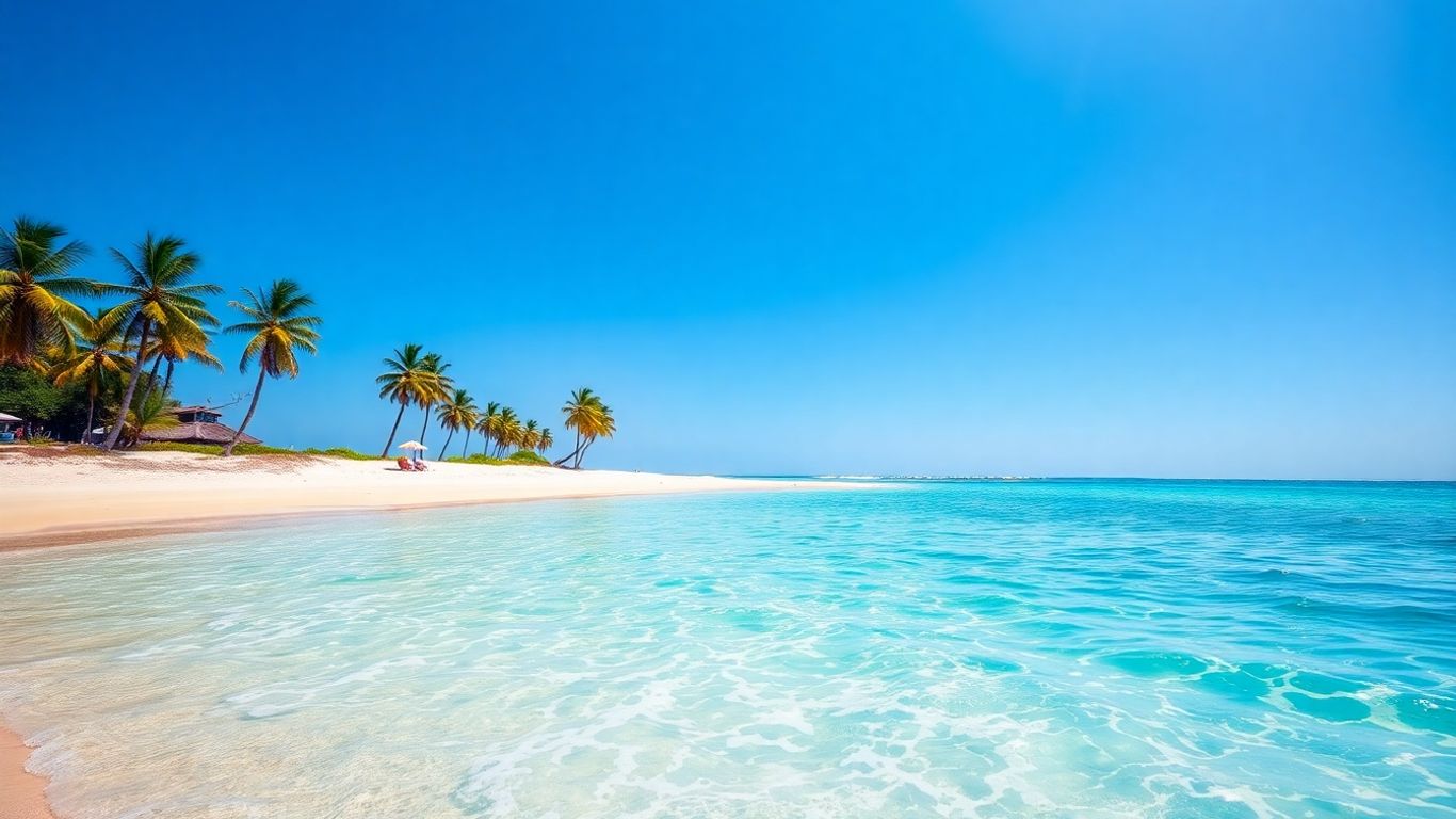 Sunny beach with palm trees and clear blue water.