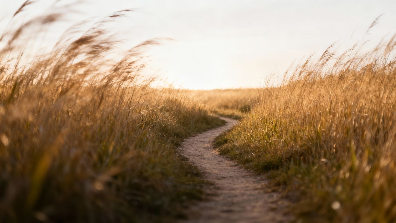Path leading to a hopeful horizon with soft light.