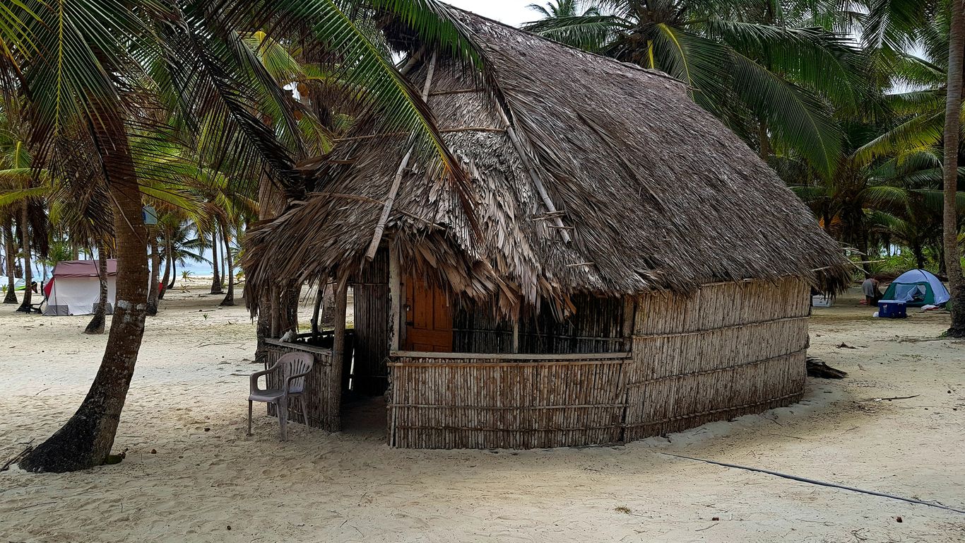 brown nipa hut near palm trees during daytime