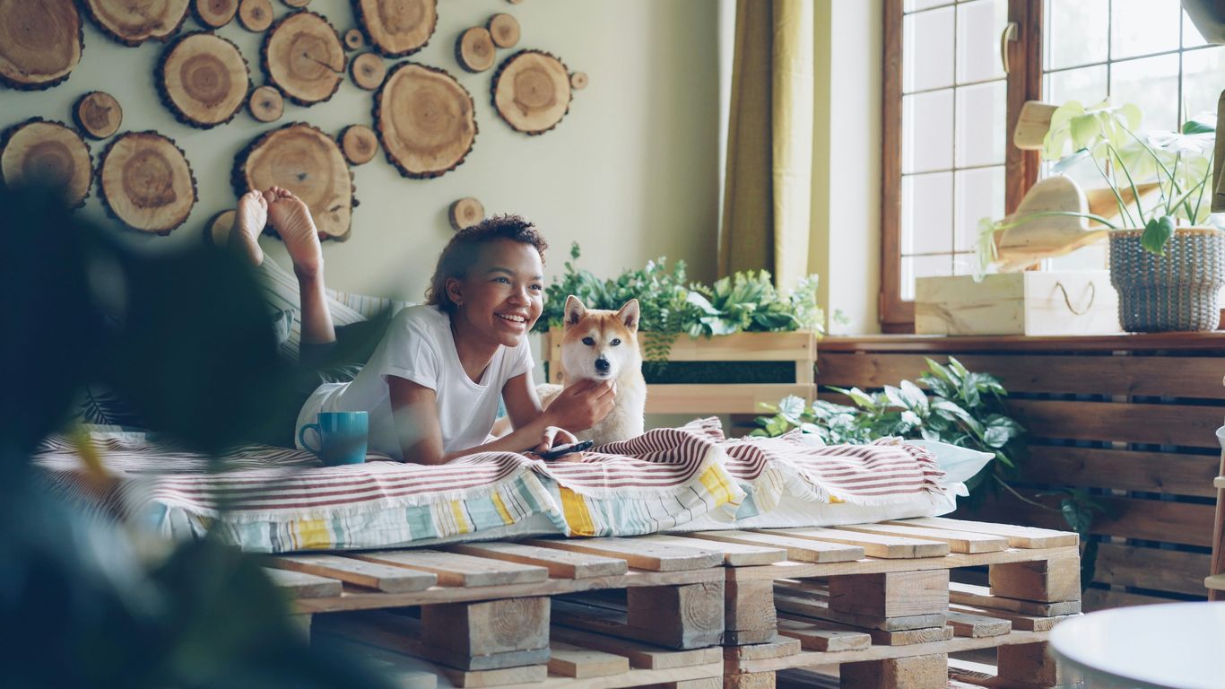 A woman watches TV with her shiba inu.