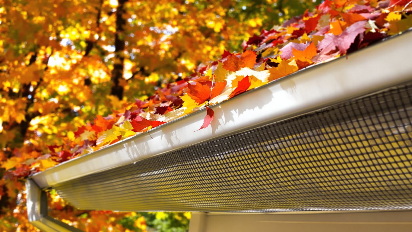 Gutter guard covered in colorful autumn leaves.