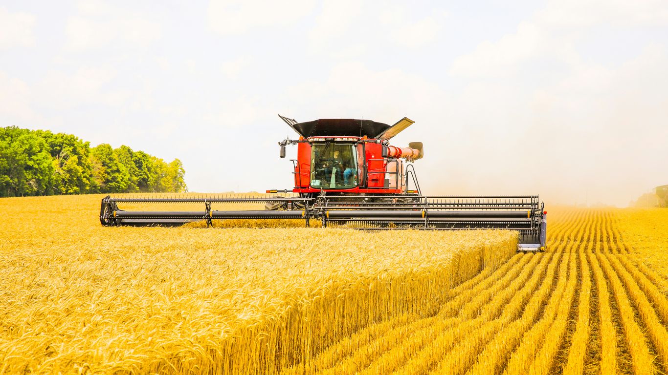 a red combine truck driving through a wheat field
