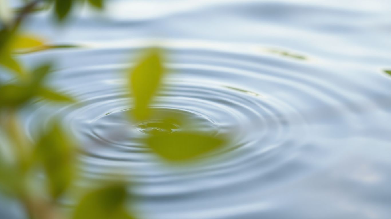 Serene natural elements suggesting relief from tinnitus.