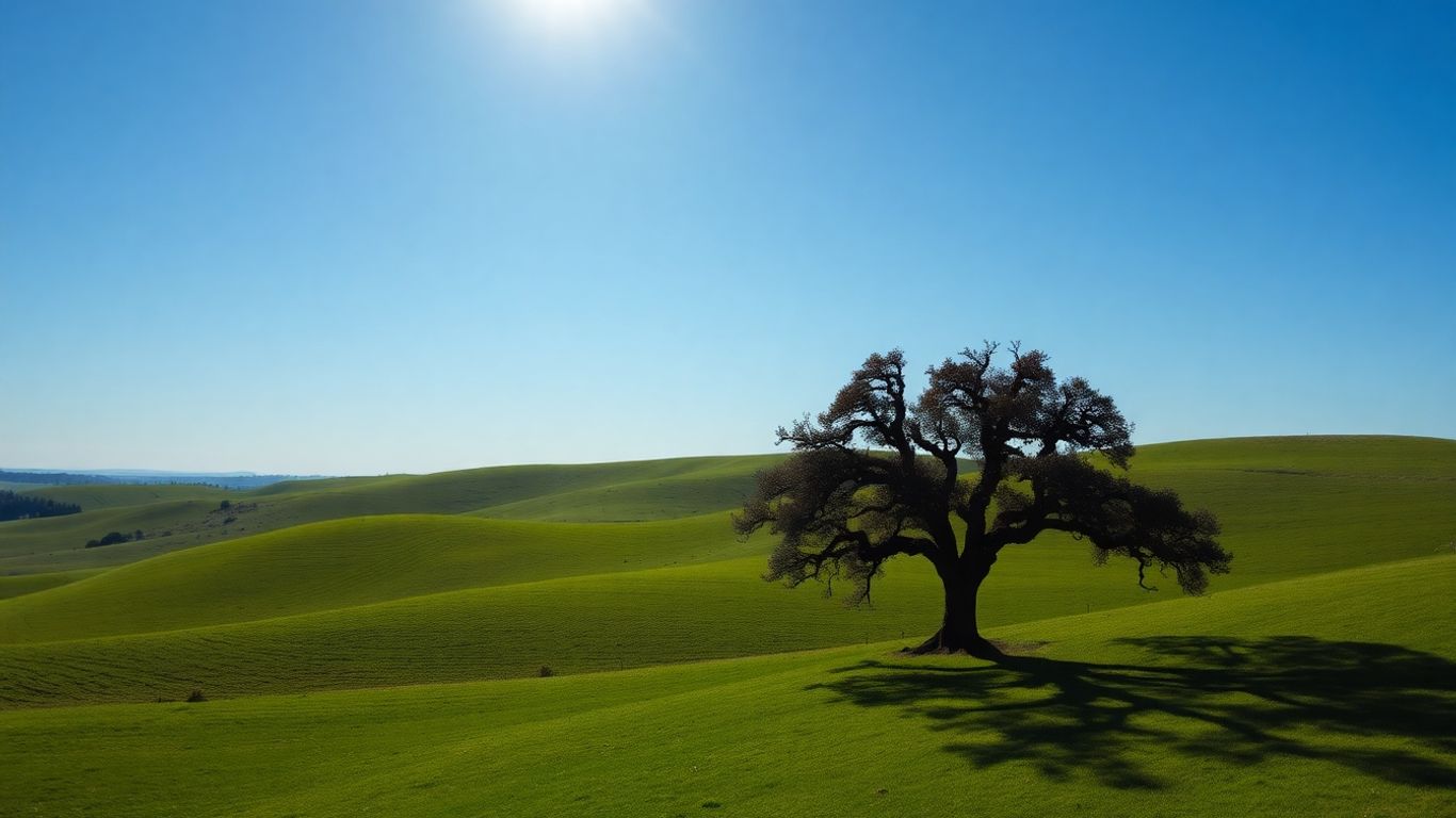 Paysage verdoyant à Languidic avec un chêne ancien.