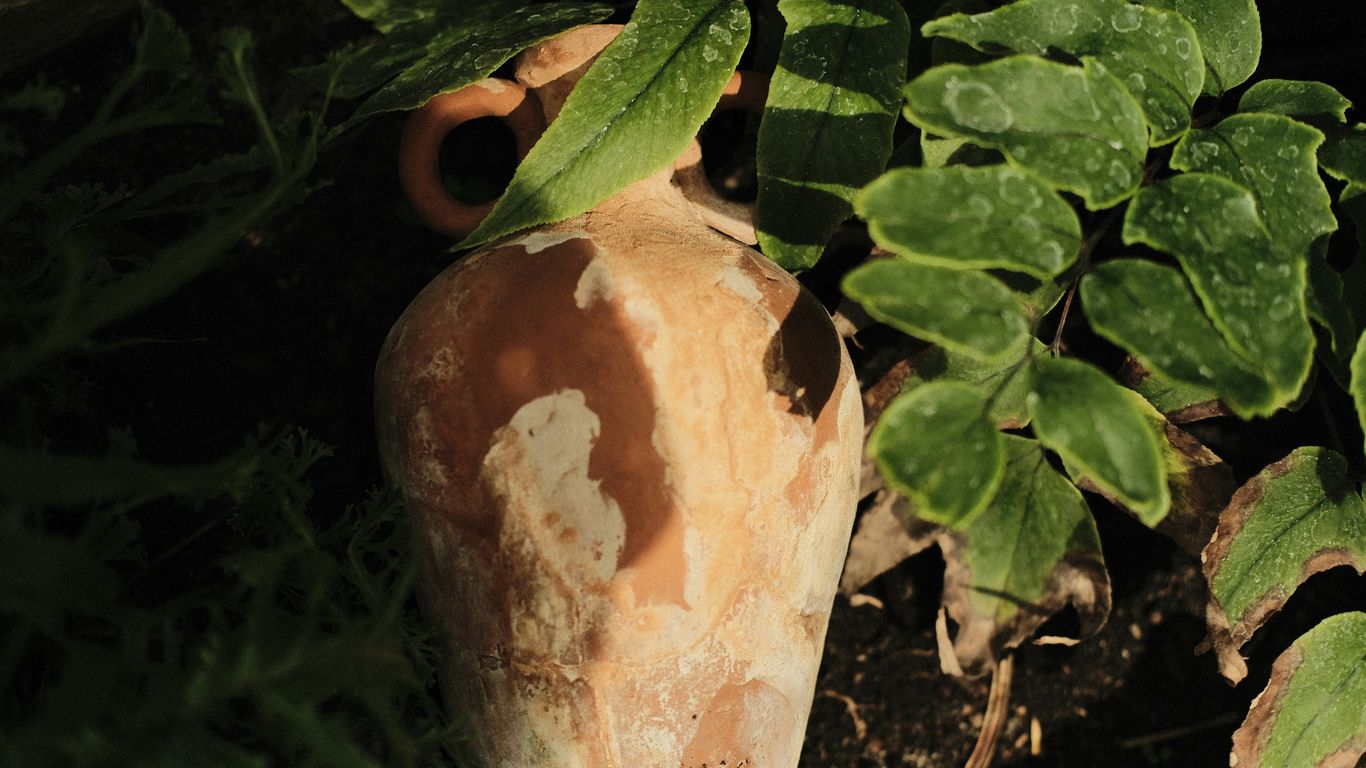 a broken vase sitting in the middle of a garden