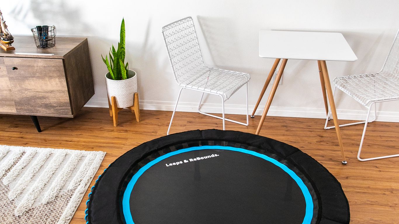 Small trampoline in modern living room with chairs and artwork.