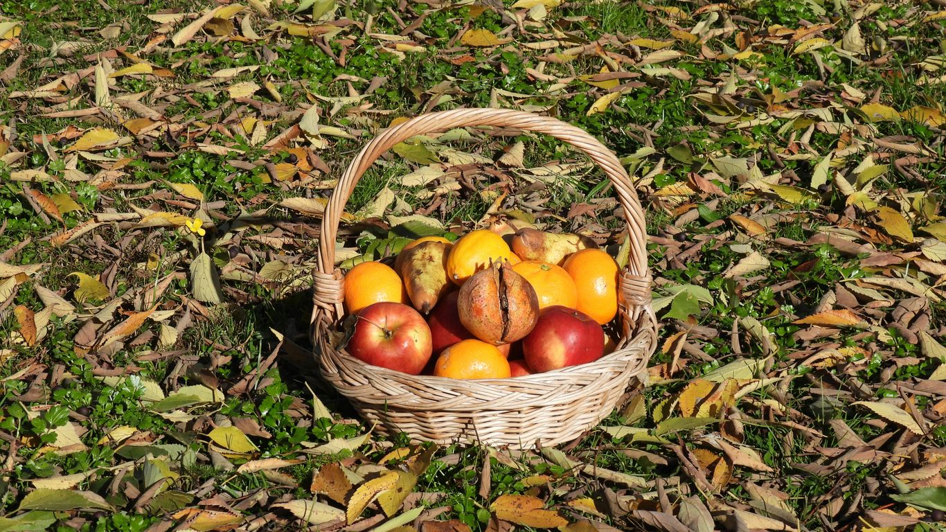 orange fruits in brown woven basket
