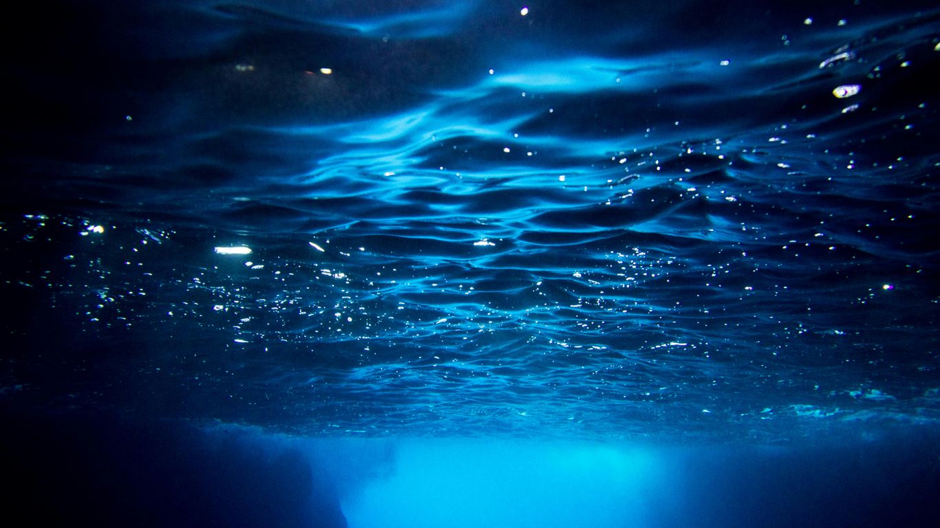 Underwater view with sunlight filtering through water.